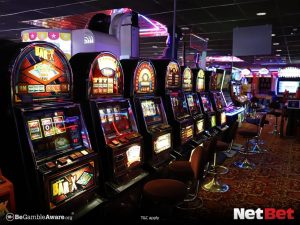 359jogo - Registro Bet Fácil